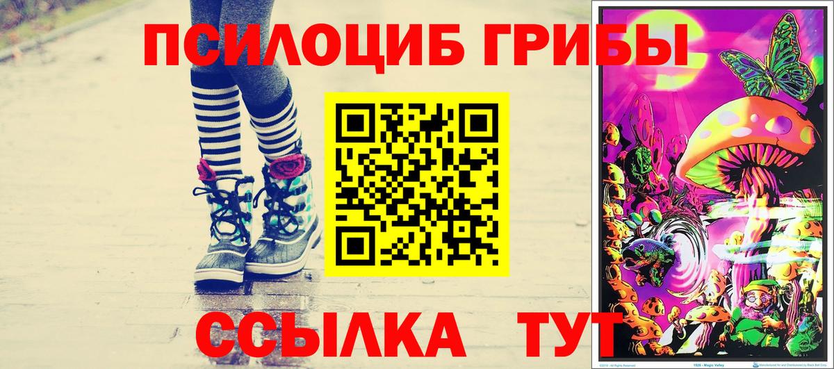 Галлюциногенные грибы MAGIC MUSHROOMS  Вход с VPN  Галлюциногенные грибы ЛСД  где купить наркоту  Мценск 