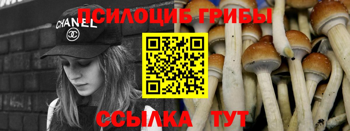 Галлюциногенные грибы MAGIC MUSHROOMS Мценск